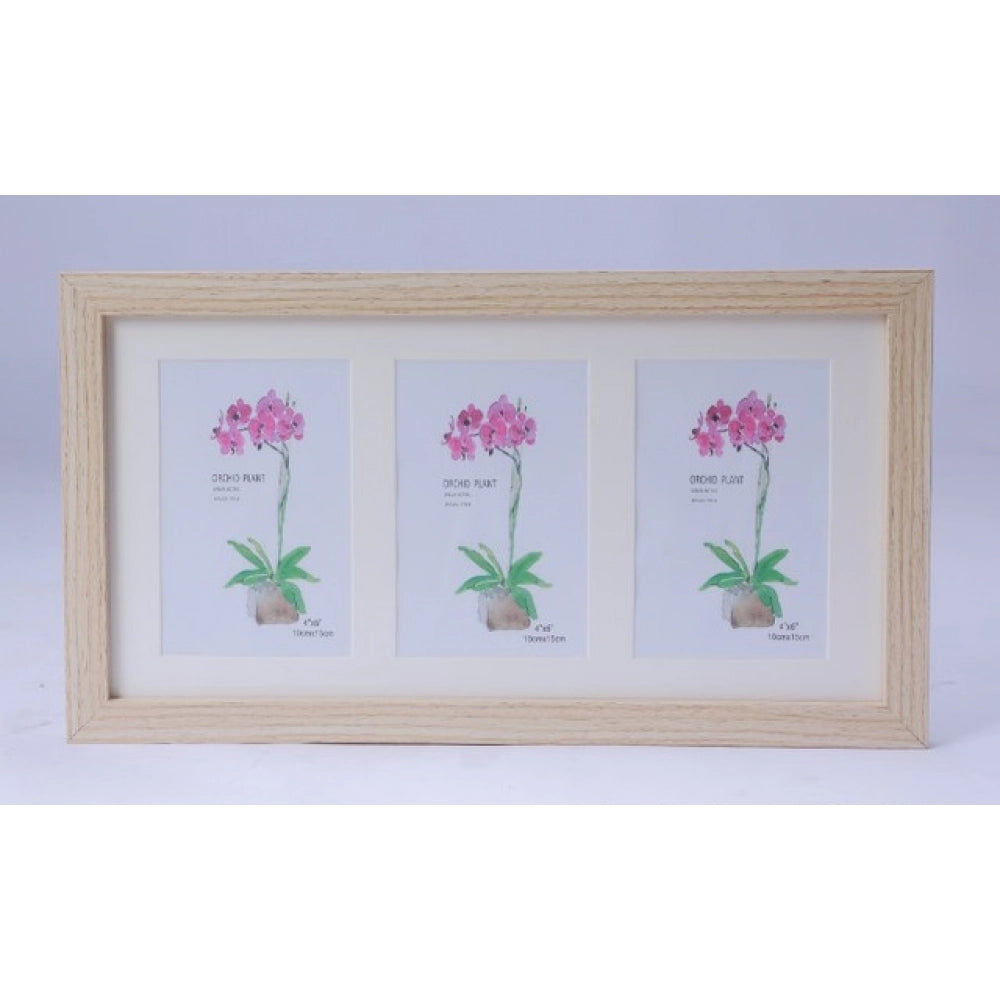 Acrylic Cactus Image Frame (Multicolor)
