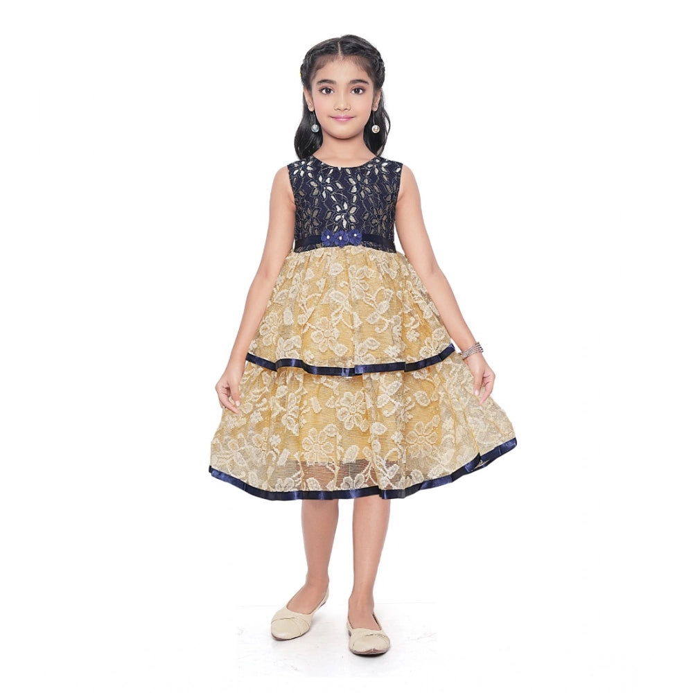 Girl's Fancy Net Net Sleeve Less Round Neck Dress (Blue)