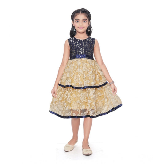 Girl's Fancy Net Net Sleeve Less Round Neck Dress (Blue)